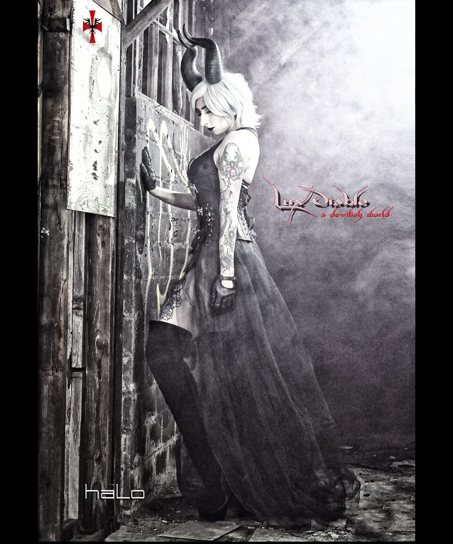 ARTZDSC2121 (457)