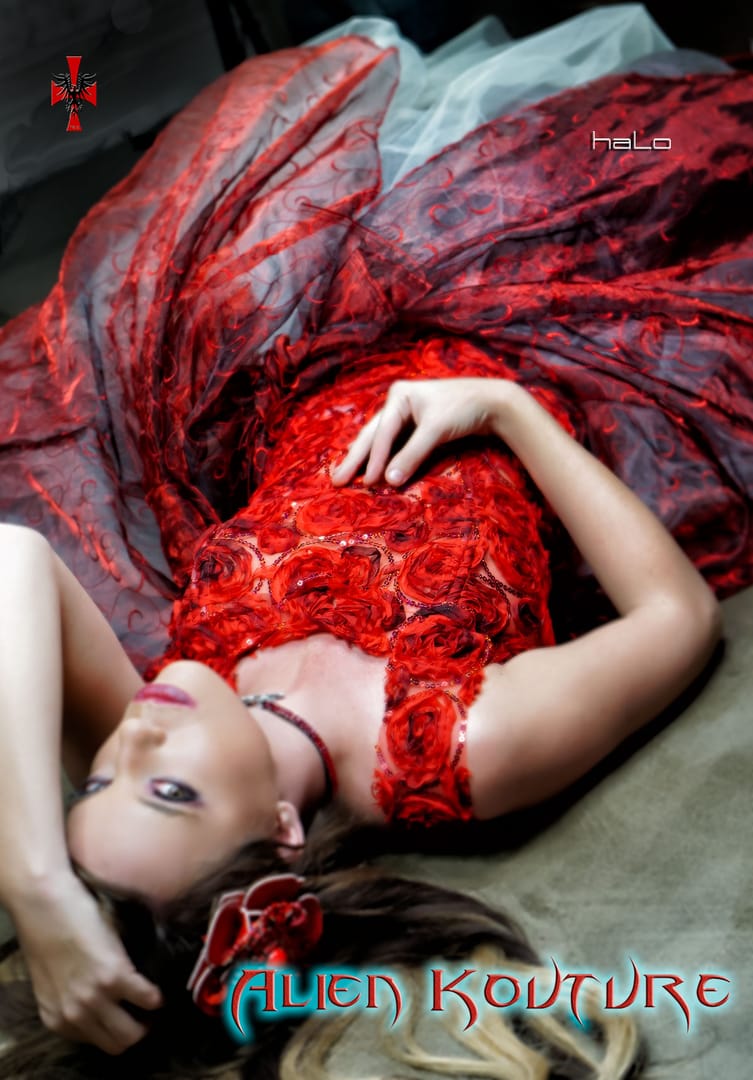 DSC01937-Edit-Edit