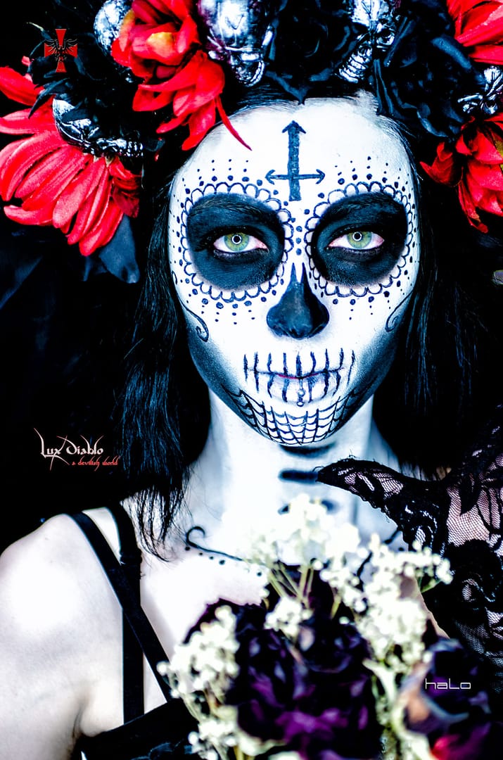 DSC_0239-Edit